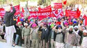 Activists of farmer organisations, trade unions along with PSEB employees stage a dharna at the mini secretariate in Ludhiana on Friday.