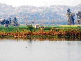 The encroached areas at the Ropar wetland.