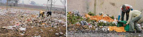 Garbage lies in the forest area on the Ludhiana-Ferozepur road.