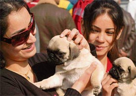 Pet lovers with puppies in their hands during the dog show in Leisure Valley, Sector 10, Chandigarh, on Sunday.