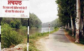 A notice board restricts the entry of heavy vehicles on a narrow road along the Bathinda branch of Sirhind canal near Karamsar village in Ludhiana.