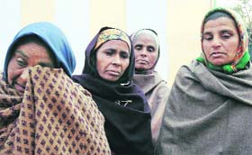 Honouring war widows has become ceremonial