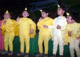 Students of DAV School present a programme during their annual day function in Amritsar