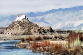 BROWN & BARREN: Ladakh in November