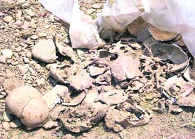 A view of the human skulls found near the historic 383-year-old Kamlah Fort in Dharampur block of Mandi district