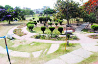 A view of Nehru Garden, which will soon undergo beautification.