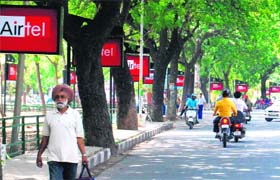 Signboards that distract road-users dot Mohali roads