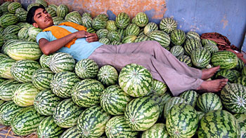 A fruit-seller in the holy city takes a break from his mundane routine.
