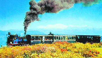 The ‘toy train’ merrily chugs along its winding tracks on a journey to Darjeeling