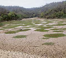 The heavily silted dam of Majri village is just another piece of marshy land.