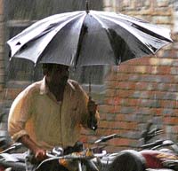 A cyclist pedals his way through heavy showers in Ludhiana on Tuesday.