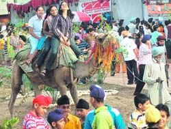 Girls enjoy camel ride during a carnival in Mohali.