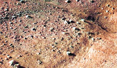One of the first colour images from the Phoenix Mars Lander shows the surface of Mars after the spacecraft landed successfully in the first-ever touchdown near Mars north pole on Sunday