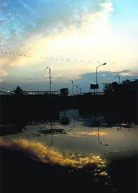 The sun and clouds play hide and seek as rainwater absorbs the kaleidoscope of colours.