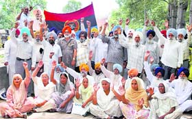 Indian Ex-services League, Punjab, stage dharna outside the DC office in Ludhiana