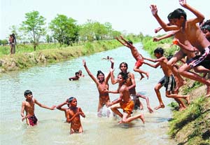Village kids beat the scorching May heat with a splash in cool canal waters in Amritsar.