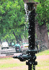 Water leaks from a pipe line for the past two days near Mango Garden in Mohali on Thursday.