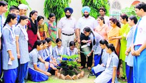 Students of GMT School plant a sapling on the occasion of World Environment Day in Ludhiana on Thusday.