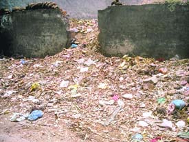Garbage heaps a common sight at Sahnewal.