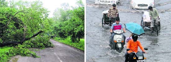 An uprooted tree on the Ahmedgarh-Payal road; and a flooded road in Ludhiana
