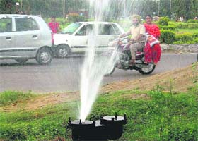 A crack in the water pipe at the road dividing Sectors 44 and 51 in Chandigarh