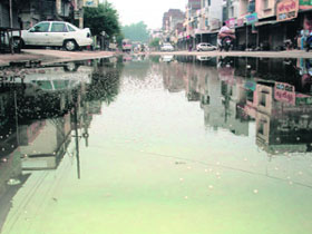 Sewage on the railway road at Doraha, making it a perfect breeding ground for mosquitoes.