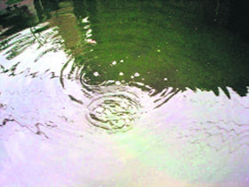 Sewage accumulated on the railway road, Doraha.