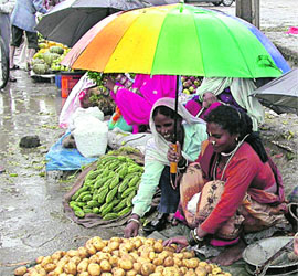 Vegetable vendors wait on a rainy day for customers to turn up at Sabzi Mandi, Sector 26, Chandigarh, on Thursday.