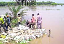 Volunteers build a wall of sand bags to divert Sutlej flow at Madaarpur village in Moga district on Sunday. 