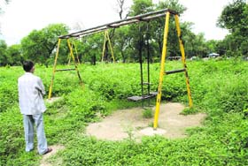 Wild growth covers the mini-secretariat park