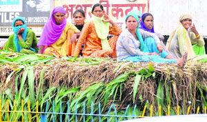 WORKED UP? Rural women return after working in fields in Hisar.