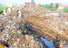 Unhygienic conditions prevail in Ludhiana.