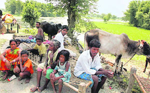 A flood-affected family waits for food at a temporary settlement at Jankipur village in Purnia district, 420 km north-east of Patna, on Monday.