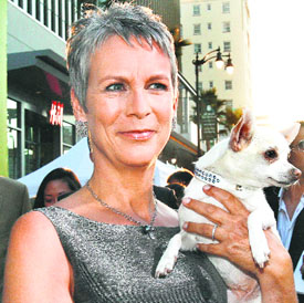 Actress Alyssa Milano smiles next to chihuahuas Rusco (L) and Angel, playing Papi and Chloe on screen, respectively, at a party to mark the world premiere of Beverly Hills Chihuahua in Hollywood, California, on Thursday. Jamie Lee Curtis holding Angel.