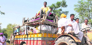 A peasant family, along with their household articles, being transported to cotton fields by a farmer in Muktsar on Sunday.