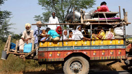 A peasant family, along with their household articles, being transported to cotton fields by a farmer in Muktsar on Sunday.