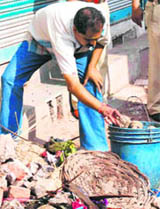 17 crude bombs were defused in Ahmedabad on Monday noon