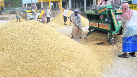Work in progress at Khanna Mandi on Tuesday.