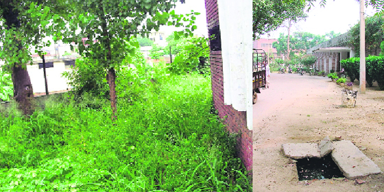 Braille Bhawan premises is covered with wild growth; and (right) an open manhole at the bhawan speaks of utter callousness towards the inmates.