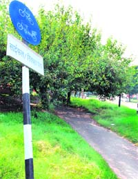 A cycle track in disarray in Chandigarh