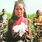 A photograph on display at the venue