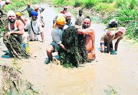 Sant Balbir Singh Seechewal (second from right) works