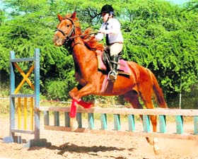 UT Inter-School Equestrian Meet in progress in Chandigarh
