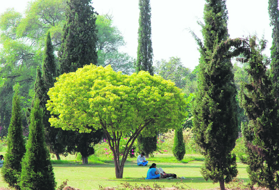 Students take a break from studies on the Kurukshetra University campus in Kurukshetra.