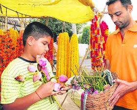 A child buys lotus flower buds for Luxmi Puja