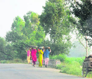 Rural women on their way back home after working in fields near Nangla village on the Meerut road in Karnal district.