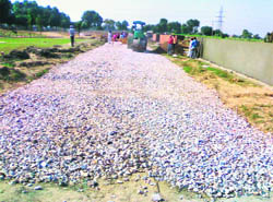 Work in progress at Alpha International City in Fatehabad