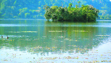 Weed and algae in Surinsar Lake reflect a picture of official apathy.