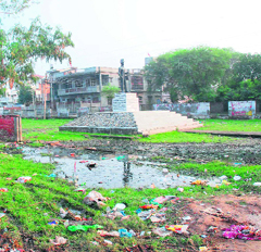 Filth can be seen all over Hansi’s Shaheed Bhagat Singh Park.