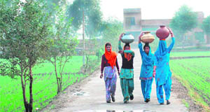 With no regular supply, women of Rajpura village in Hisar district have to travel long distance to get water.